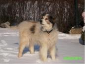Lara, Februar 2012